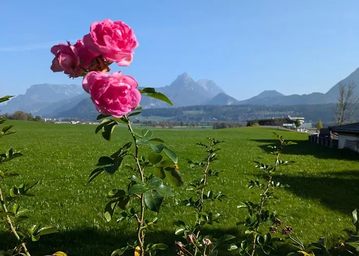 Schoenwoerth Lejlighed